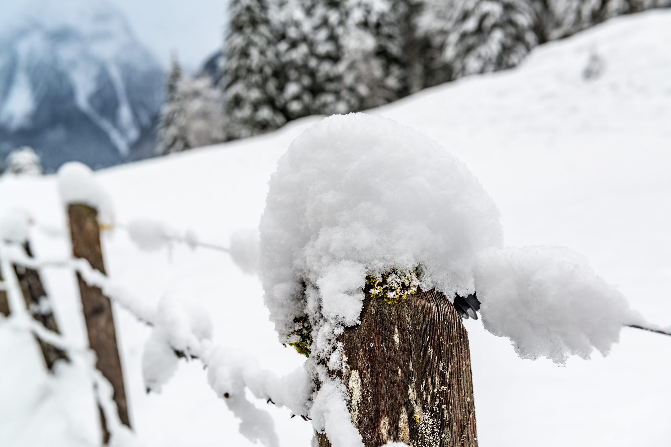 Ein hölzerner Zaunpfahl, bedeckt mit dichtem Schnee, mit verschneiten Bäumen und Bergen im Hintergrund.