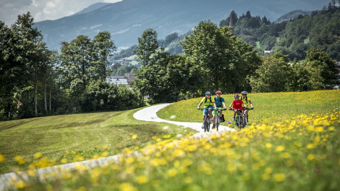 Eine Gruppe von Menschen fährt mit dem Fahrrad auf einem Weg in einem Blumenfeld.