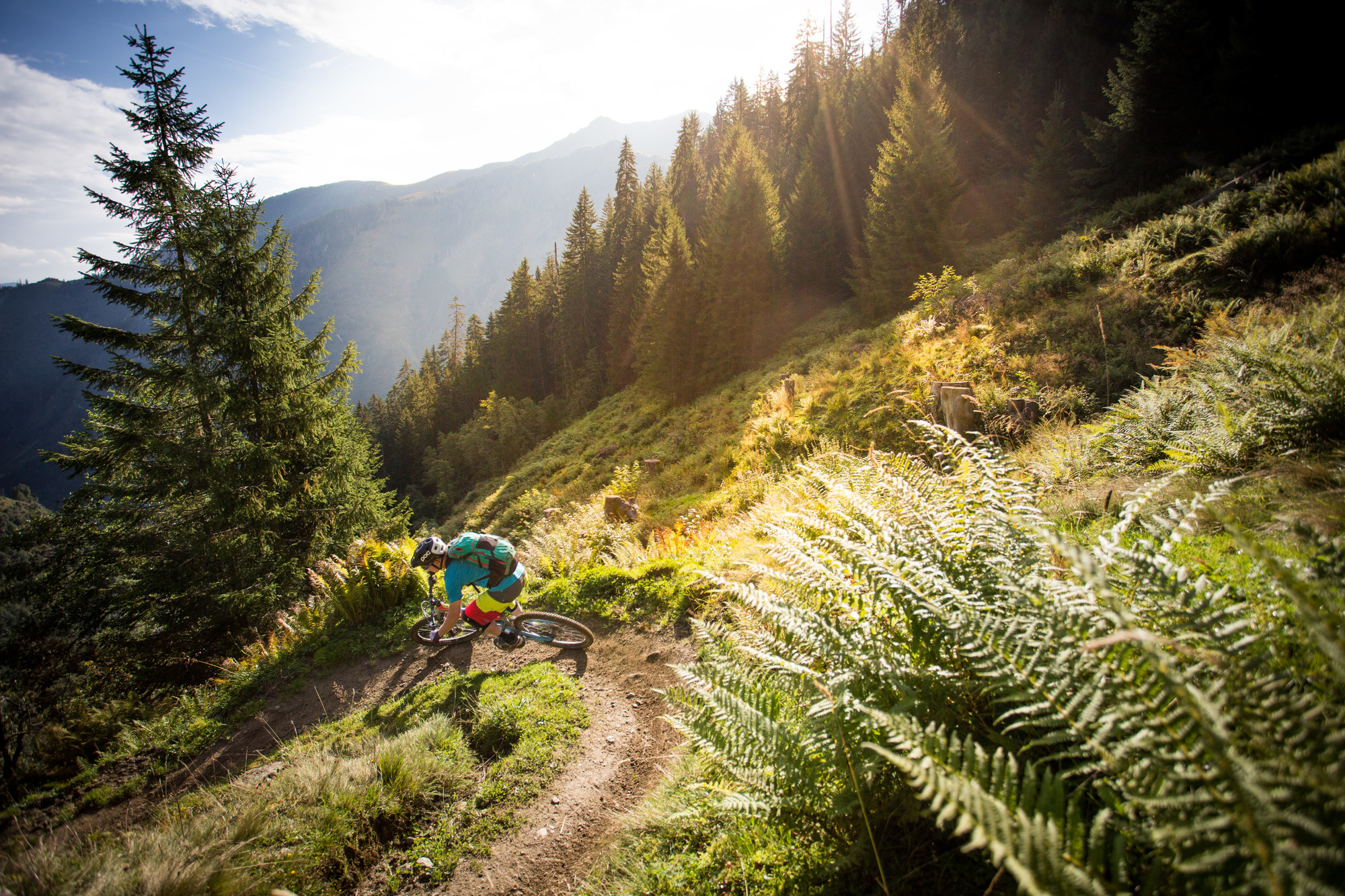 Ein Mountainbiker fährt auf einem sonnenbeschienenen Waldweg auf einer grasbewachsenen Anhöhe mit hohen Bäumen und Bergen im Hintergrund.