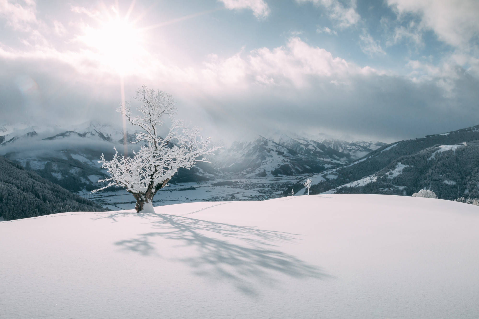 Ein einzelner Baum wirft einen Schatten auf einen verschneiten Hügel, während im Hintergrund die Berge und die Sonne durch die Wolken scheinen.