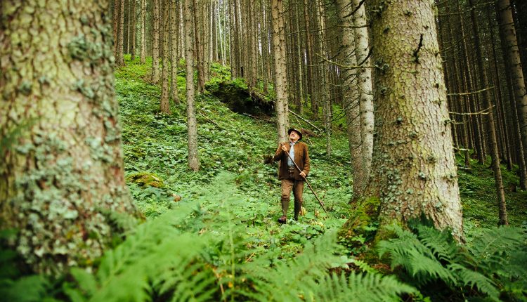 Walter Mooslechner im Wald
