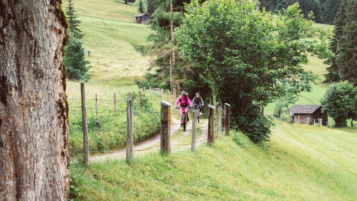 Zwei Personen fahren mit dem Fahrrad auf einem Weg durch eine grüne, hügelige Landschaft mit Bäumen und kleinen Holzhütten.