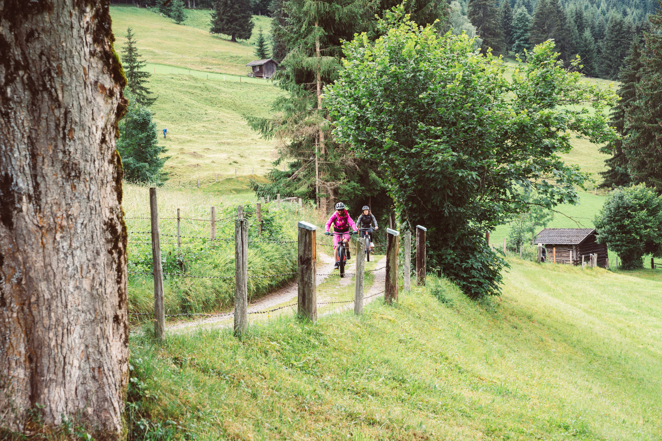 Zwei Personen fahren mit dem Fahrrad auf einem Weg durch eine grüne, hügelige Landschaft mit Bäumen und kleinen Holzhütten.