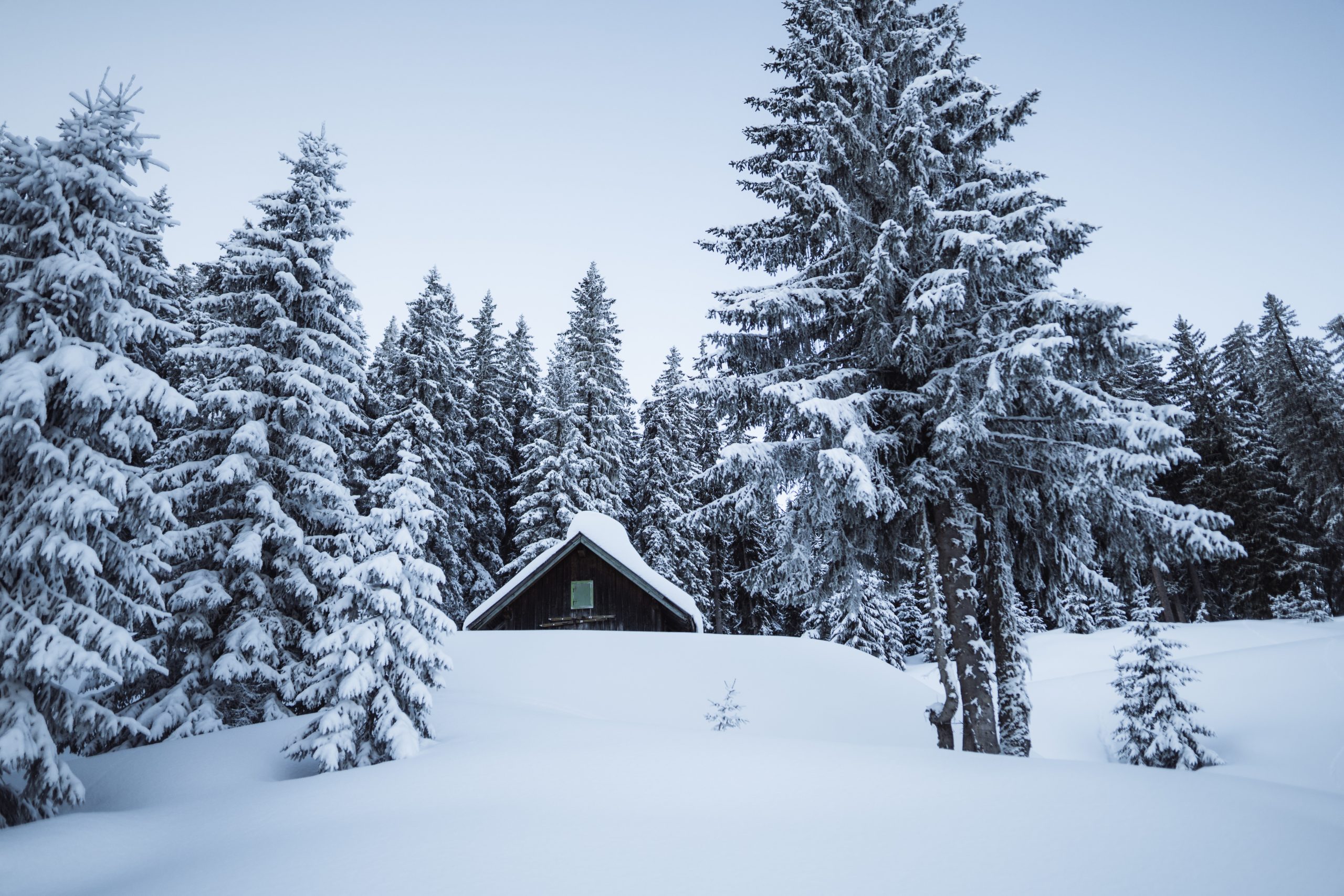 Eine kleine Hütte umgeben von schneebedeckten Bäumen in einer winterlichen Waldlandschaft unter einem blassen Himmel.