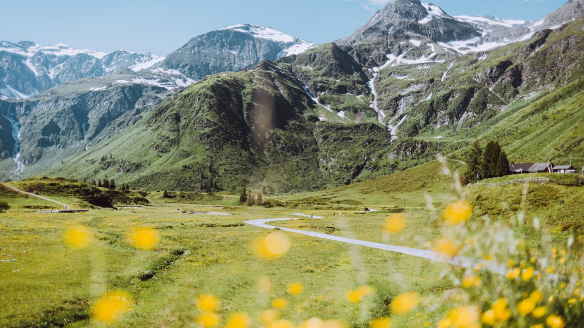 Schneebedeckte Berge und grüne Hügel mit gelben Wildblumen im Vordergrund unter einem blauen Himmel.