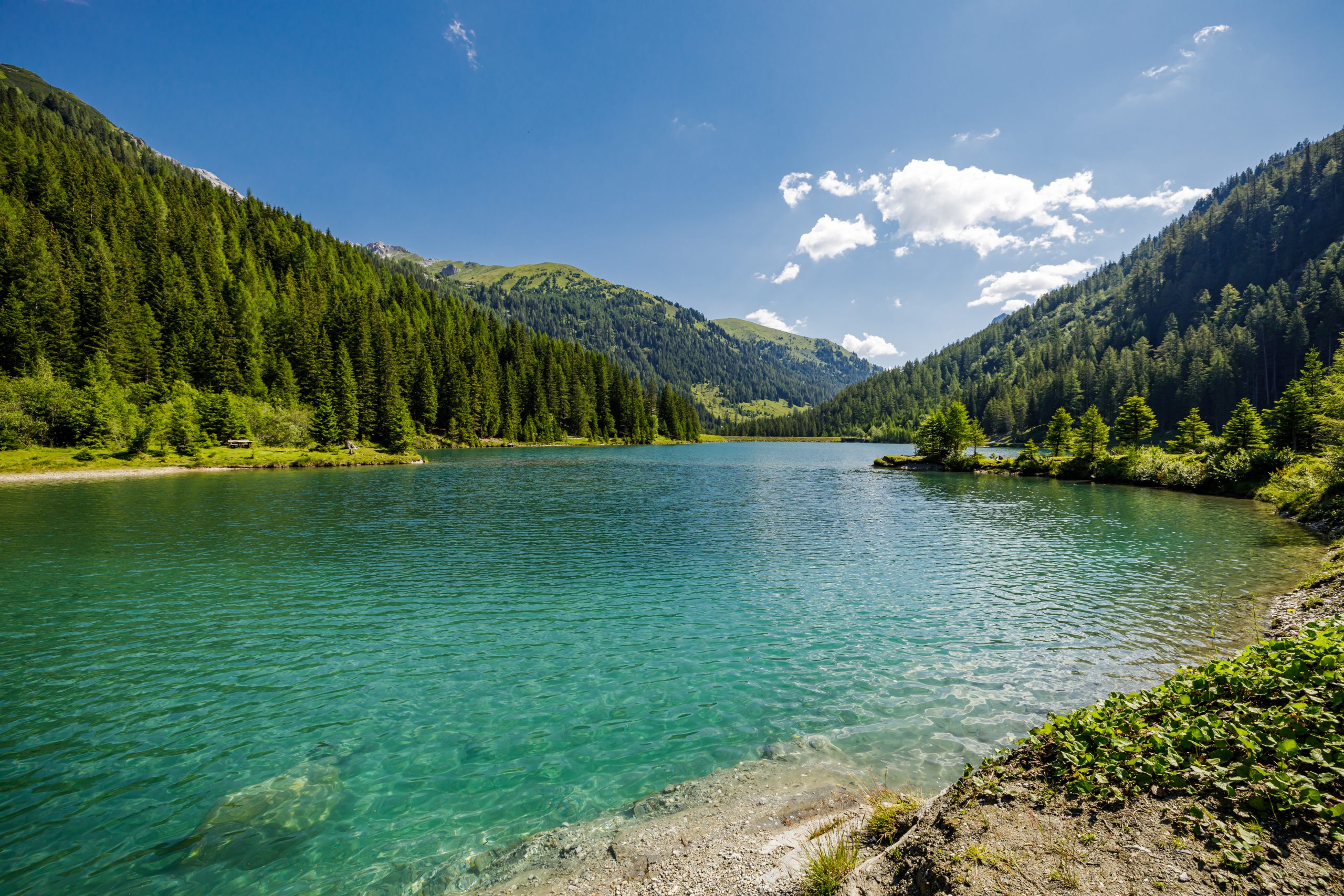 Ein klarer blauer See, umgeben von grünen Kiefernwäldern und Bergen unter einem strahlend blauen Himmel mit vereinzelten Wolken.