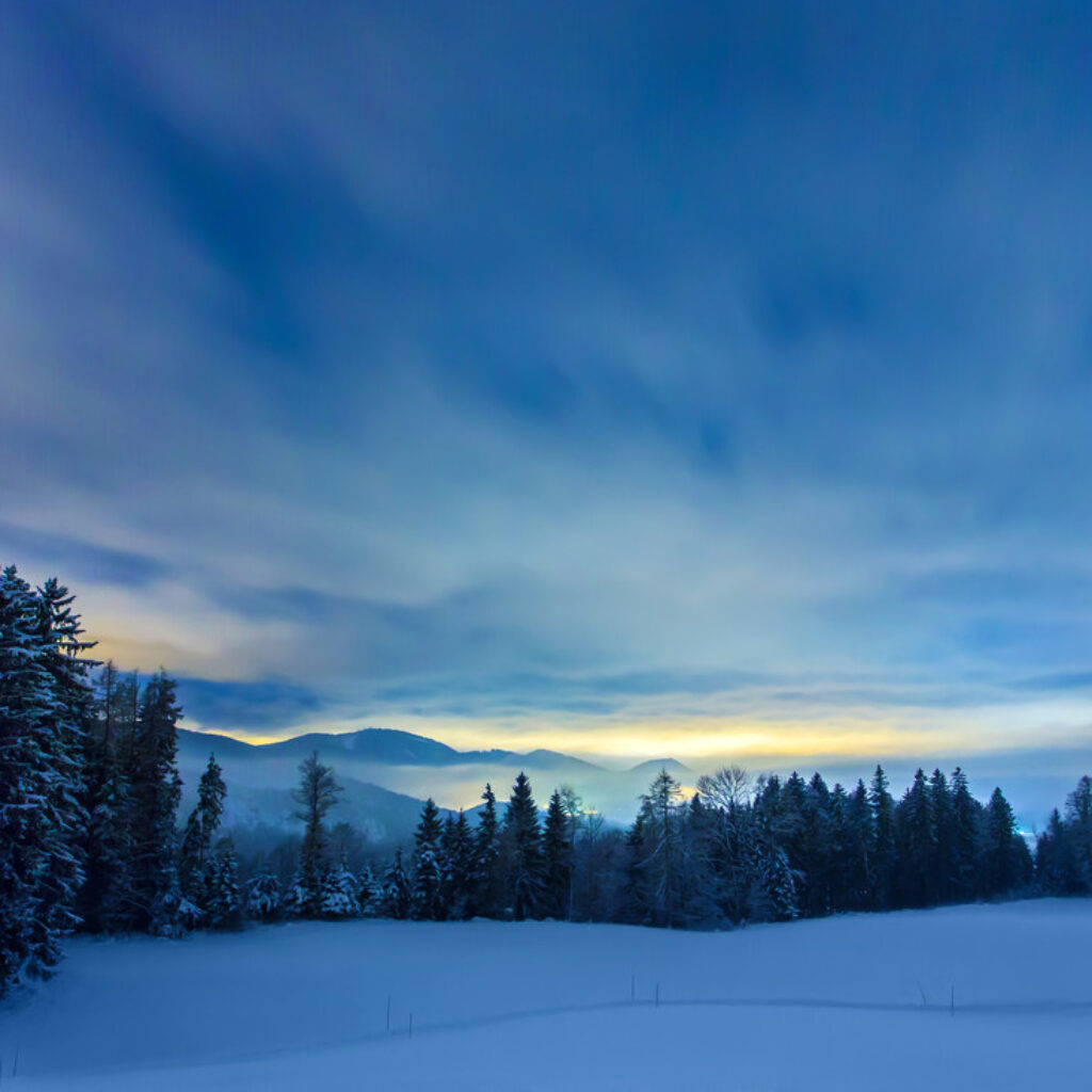 Verschneite Felder und ein Nadelwald unter einem dämmerigen Himmel mit Bergen in der Ferne.