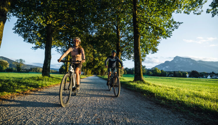 Zwei Personen fahren mit dem Fahrrad auf einem von Bäumen gesäumten Weg auf dem Lande mit Bergen im Hintergrund.