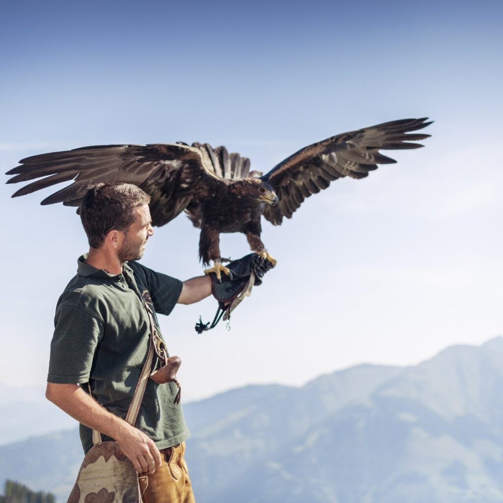 Ein Mann, der einen großen Adler auf seinem behandschuhten Arm hält, im Hintergrund Berge und blauer Himmel.