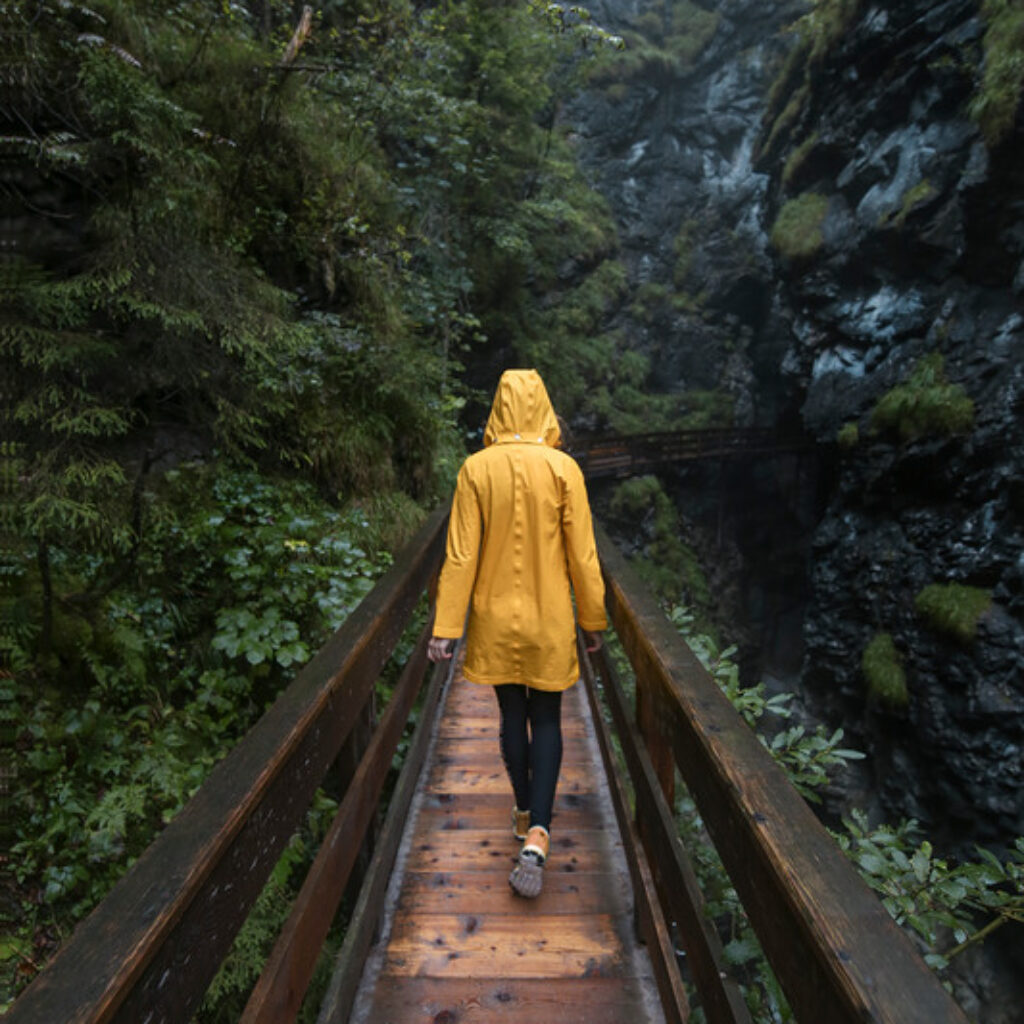 Eine Person in einem gelben Regenmantel geht auf einer Holzbrücke durch eine üppige, nebelverhangene Waldschlucht.