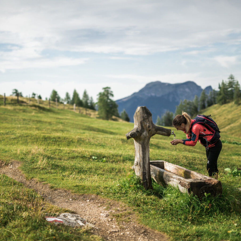 Ein Wanderer trinkt aus einem hölzernen Wassertrog auf einem grasbewachsenen Bergpfad, im Hintergrund sind Hügel und Bäume zu sehen.