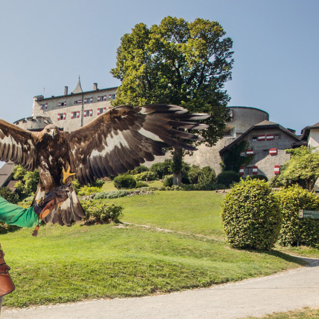 An einem sonnigen Tag hält ein Falkner vor einer historischen Burg einen großen Adler in den Händen.
