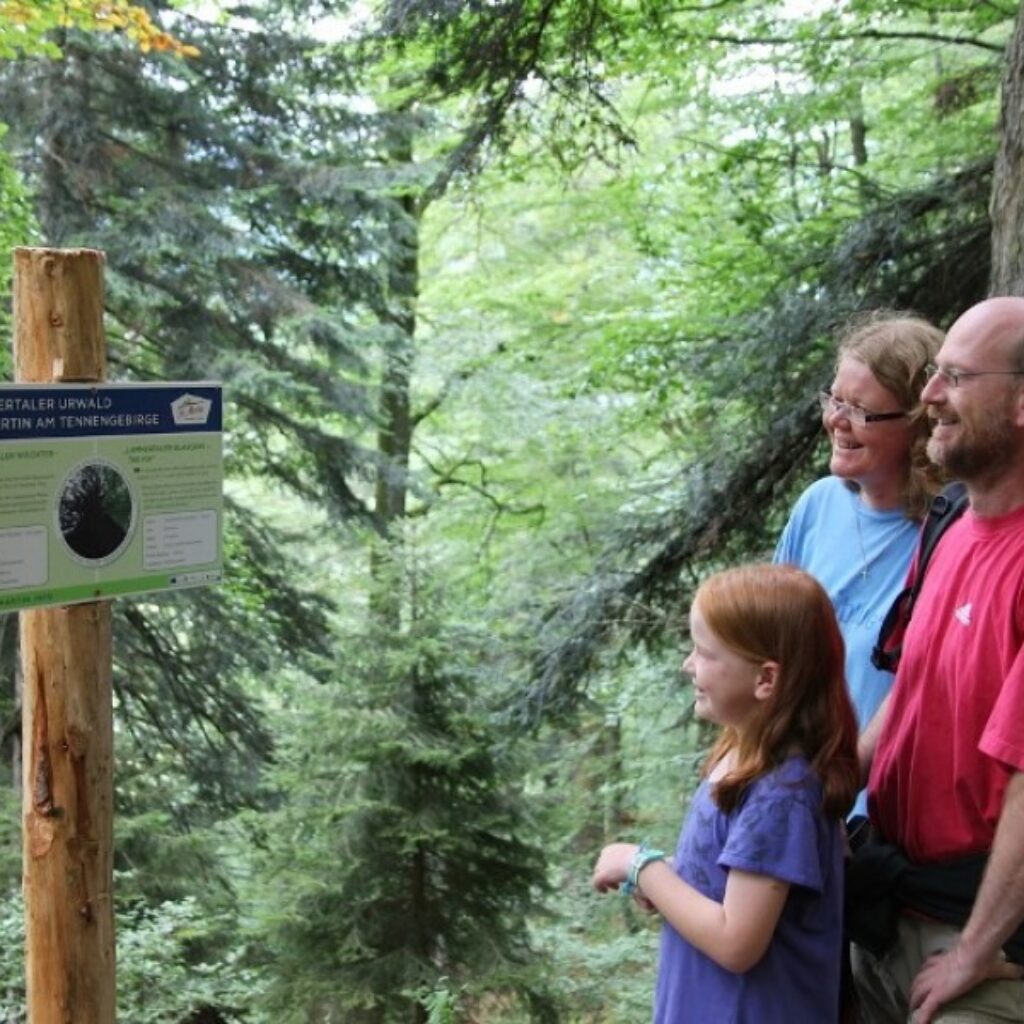 Eine Familie liest eine Informationstafel auf einem Waldweg, der von grünen Bäumen gesäumt ist.