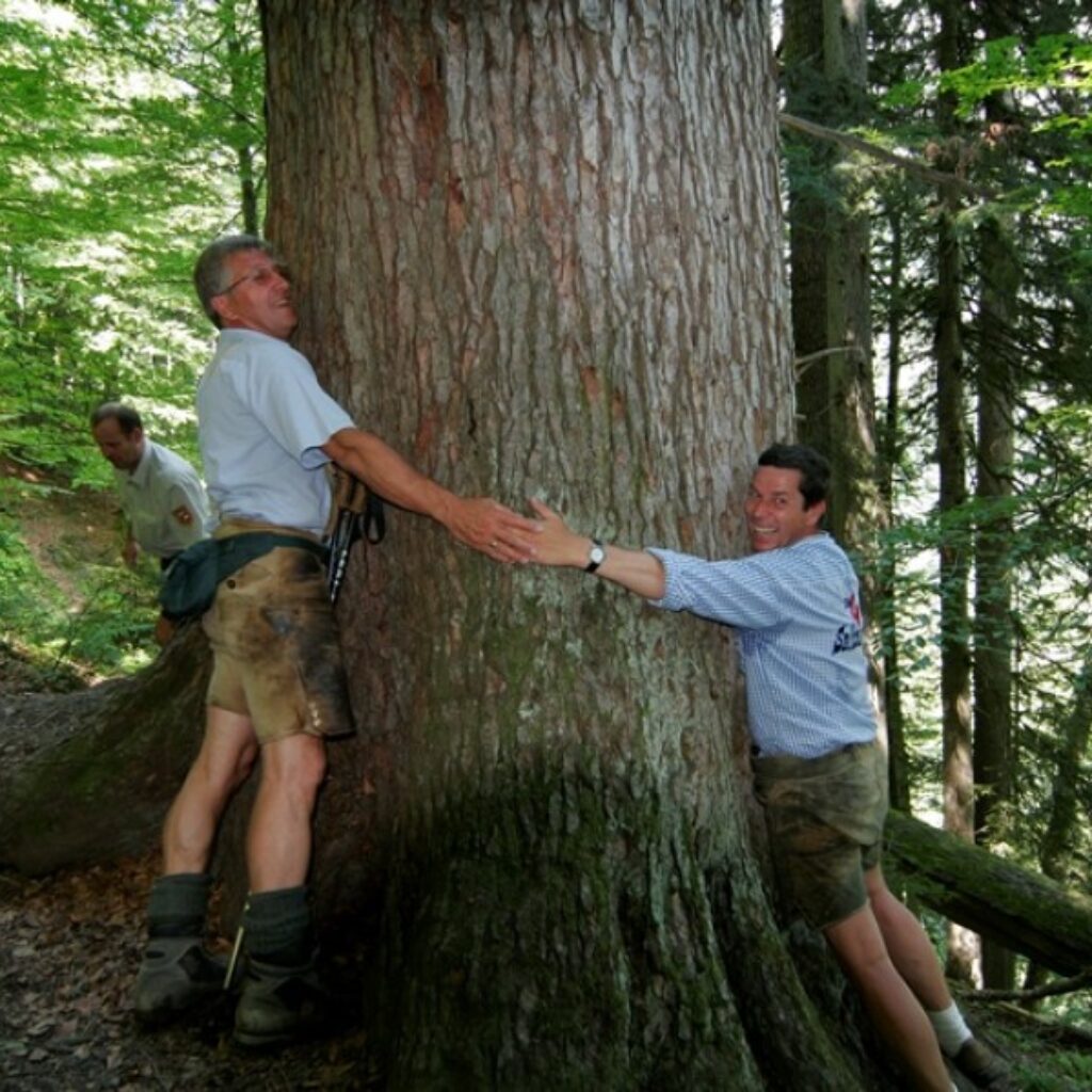 Zwei Männer, die lächeln und einen großen Baum im Wald umarmen, während im Hintergrund ein weiterer Mann steht.