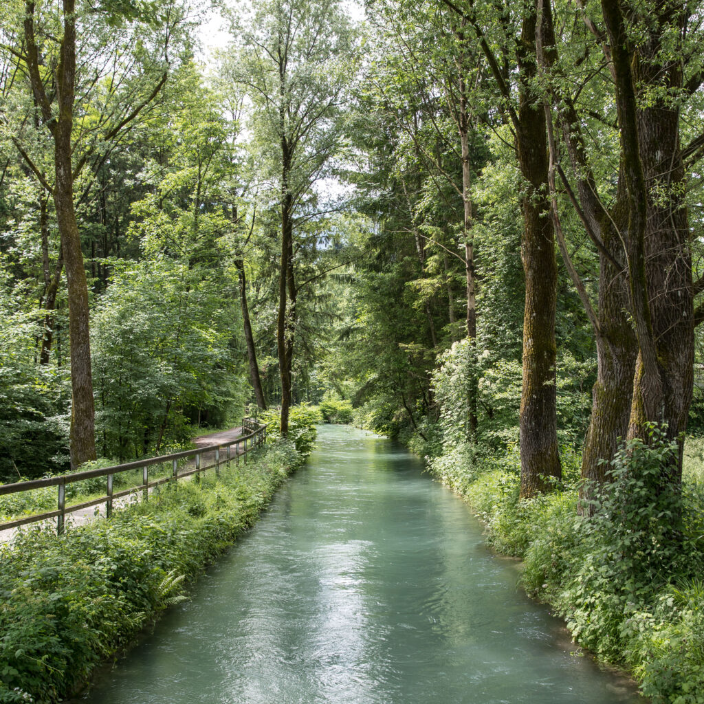 Ein ruhiger Fluss fließt durch einen üppig grünen Wald, auf dessen linker Seite ein Feldweg und ein Holzzaun verlaufen.