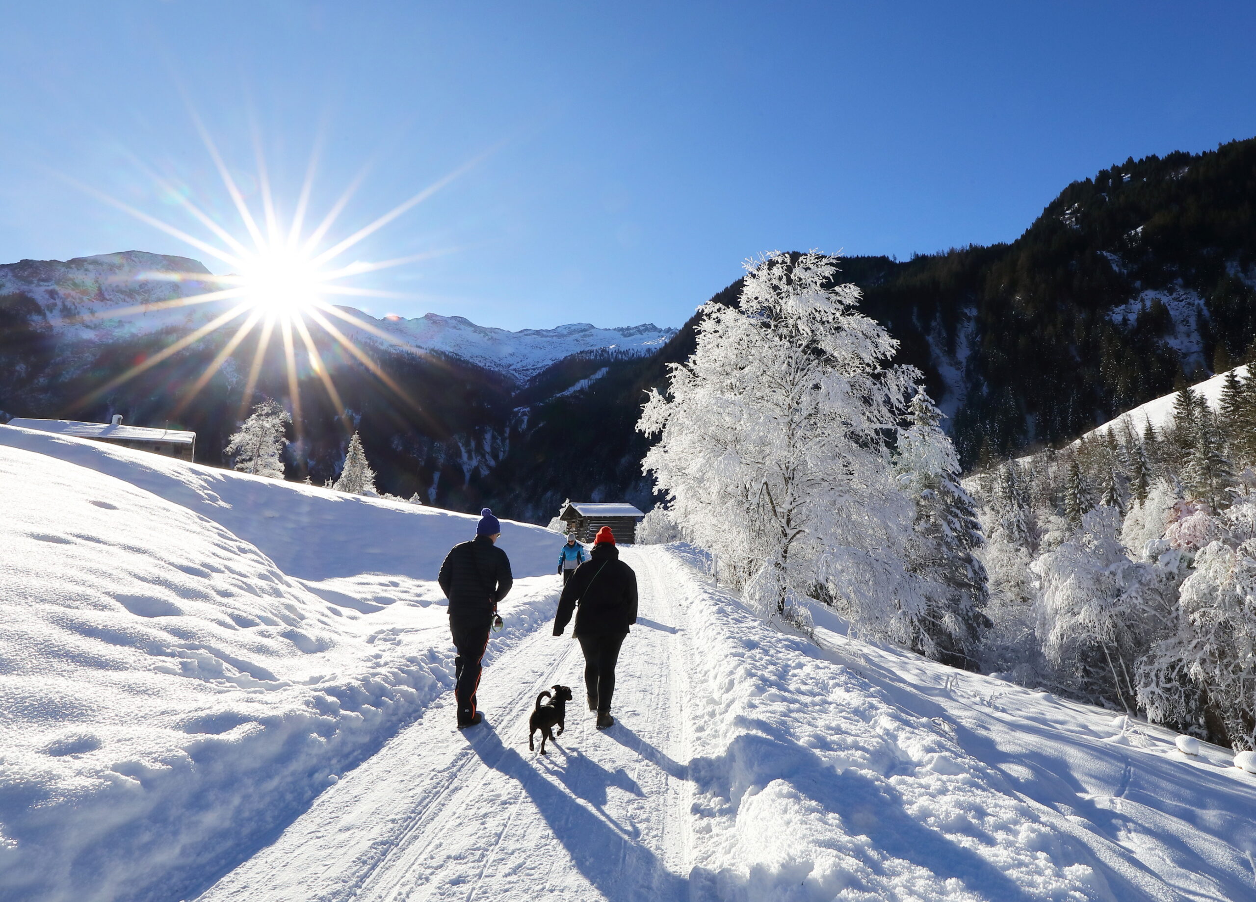 Menschen, die mit einem Hund auf einem verschneiten Weg in Richtung einer kleinen Hütte in den Bergen spazieren gehen.